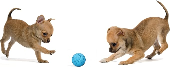 Snug Rubber Dog Balls for Small and Medium Dogs - Tennis Ball Size - Virtually Indestructible (3 Pack - Cool)