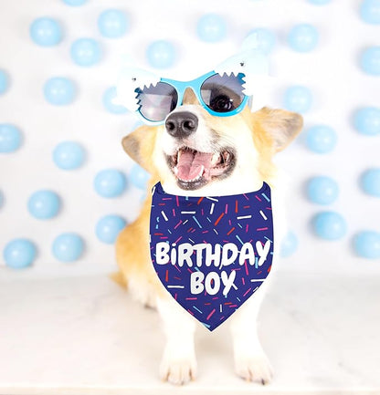Birthday Boy Dog Bandanas 1 Pack, Blue Birthday Dog Scarfs for Boys, Pet Scarves for Boy HBD Bandanas for Small Medium Large Dogs (Birthday Boy, One Size)