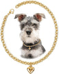 HOWWFALY Dog Collar and Cat Chain Necklace Stainless Steel Adjustable 18K Gold Heart-Shaped Necklace for Small Pets Cats Kitten Puppy (Gold, 12 inch)