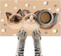 Cat Feedings Mats 20x12 inch Cute Cat Print Pet Bowl Placemat Non Slip Mat for Cats Food and Water Indoor Cats Feeding Station Pet Meal Mat for Small Pets Kitchen Floor Use