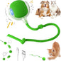Interactive Electric Automatic Rolling Moving Rechargeable Self Play Stimulation Toy,Smart Pet Chase with Speedy Tail Rope for Bored Indoor Cats (Green)