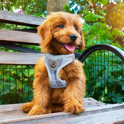 PUPTECK Adjustable Dog Harness Collar and Leash Set Step in No Pull Pet Harness for Small Medium Dogs Puppy and Cats Outdoor Walking Running, Soft Mesh Padded Reflective Vest Harnesses, Blue L