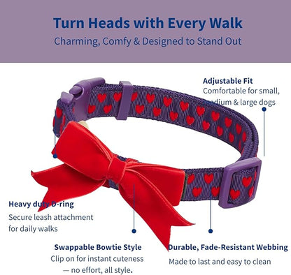 Blueberry Pet Adjustable Flocking Dog Collar with Detachable Velvety Bowtie - Heart in Gothic Grape, Small, Neck 12"-16"