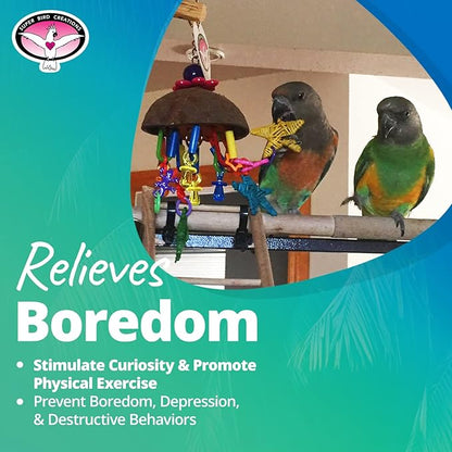 Super Bird Creations SB896 Seeing Stars Bird Toy - Interactive Foraging Toy, Ideal for Parrotlets, Parakeets, Cockatiels, Stimulates Mental and Physical Activity - Small/Medium Bird Size, 9.5" x 3.5"
