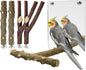 BNOSDM 5PCS Bird Perches Stand with Mirror Parrot Natural Wood Stick Perches Forked Perch Branch Parakeet Toy Set Bird Cage Accessories for Budgie Cockatiel Conure Finch Lovebird