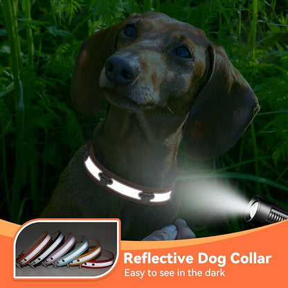 PETCARE Reflective Dog Collar with Cute Paw Rivet Studded Funny Soft PU Leather Adjustable Puppy Dog Collars for Small Medium Large Dogs Cats (Orange,Medium)