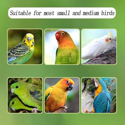 Automatic Acrylic Bird Feeder for Cage, No Mess - Small Bird Parrots, Canary, Parakeet, Budgerigar, Crested Myna, Cockatiel (XL)