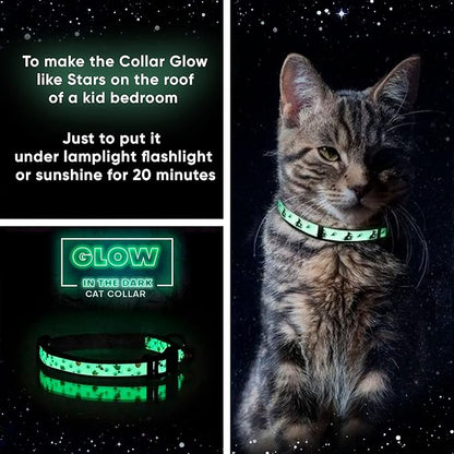 Pawtitas Glow in The Dark Cat Collar with Breakaway Safety Buckle & Bell Adjustable Kitten Collar, Set of 2 GID Teal/Orange
