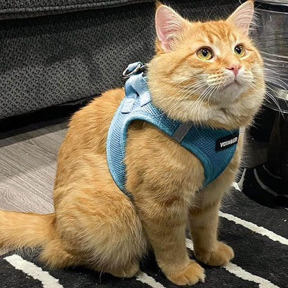Best Pet Supplies Voyager Step-in Air Harness - All Weather Mesh, Reflective, No Pull Harness for Dogs, Cats - Secure with Hook & Loop Fastener, Buckle, Double D-Rings - Baby Blue, M