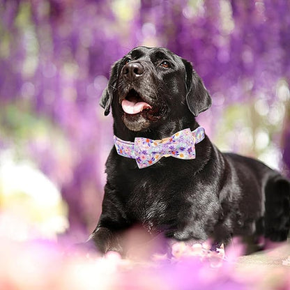Elegant little tail Dog Collar, Rose Print Pet Collar Summer Dog Collar Durable Metal Buckle Dog Collars Cotton Pet Adjustable Dog Collars for Medium Dogs