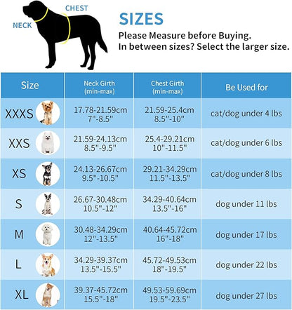AIITLE Step in Dog Harness and Leash Set - No Pull Escape Proof Vest Harnesses with Soft Mesh and Reflective Bands, Adjustable Pet Outdoor Harnesses for Small and Medium Dogs Royal Blue M