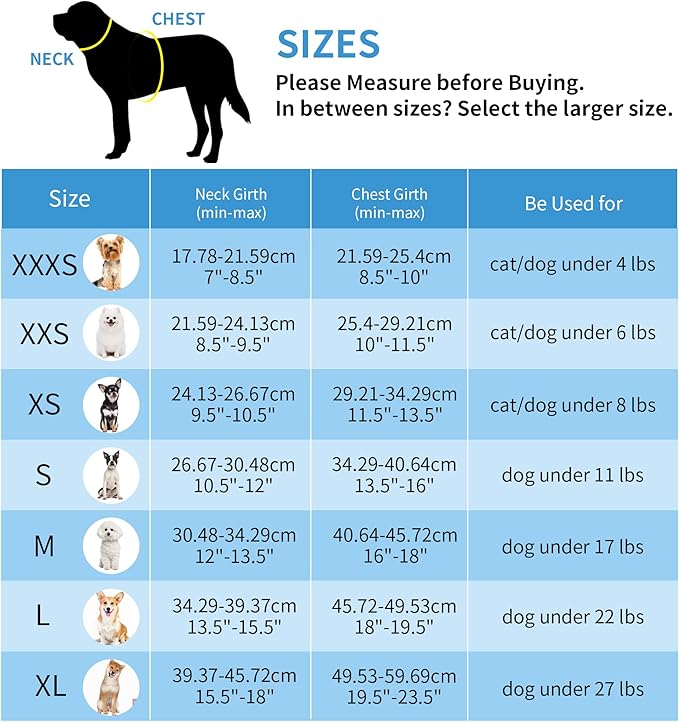 AIITLE No Pull Dog Harness and Leash Set, Step in Adjustable Dog Harness with Padded Vest for All Weather, Dog Leash with Soft Padded Handle, Easy to Put on Small and Medium Dogs Yellow S