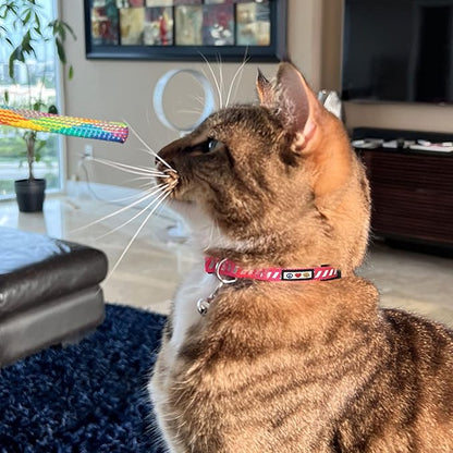 Pawtitas Personalized Green Reflective Cat Collar – Adjustable Custom Collar with Safety Buckle, Removable Bell, and Engraved Name & Phone Number for Kittens and Adult Cats