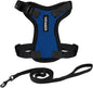 Voyager Escape-Proof Step-In Lock Cat Harness & 5ft Neoprene-Handle Leash Set All-Weather Mesh with Reflective Stitching For Small to Large Cats by Best Pet Supplies, Royal Blue/Black Trim, S