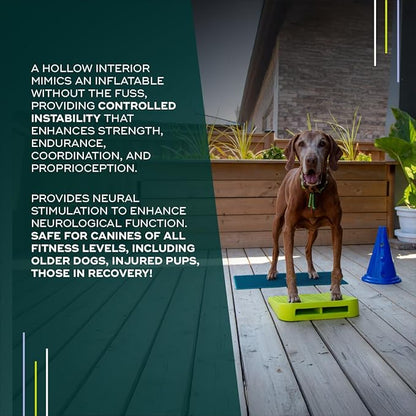 FitPAWS Balance Ramp | Dog Agility Equipment for Balancing, Obedience Training, and Sensory Stimulation