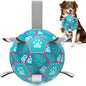 QDAN Dog Toys Soccer Ball, Tug of War Toy, Puppy Birthday Gifts, Water Toy, Durable Dog Balls for Medium Large Dogs, Lake Blue(8 inch)