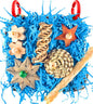 KATUMO Conure Toys, Bird Foraging Toys Parakeet Shredding Grass Mat Hanging Toys for Cockatiel Conure Lovebird Parakeet Bird Cage Accessories