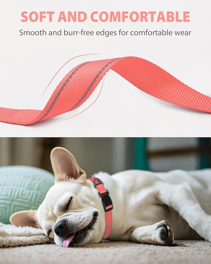 Joytale Small Dog Collar, Reflective and Adjustable Nylon Collar with Quick-Release Buckle, Lightweight No-Choke Design for Small Dogs, Pink, 5/8" Width