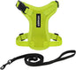 Voyager Escape-Proof Step-in Lock Cat Harness & 5ft Neoprene-Handle Leash Set All-Weather Mesh with Reflective Stitching for Small to Large Cats by Best Pet Supplies, Lime Green, XXS