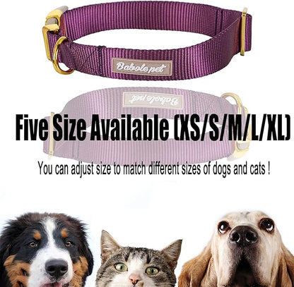 Nylon Dog Collar - Adjustable Deep Purple Soft Webbing Dog Collars for Small Medium Large Dogs Boy Girl Puppy Collar with Safety Metal Buckle XS