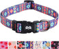 QQPETS Adjustable Soft Dog Collar: Print Flower Pink Multicolor Cute Patterns for XS Small Medium Large Pet Girl Boy Puppy Walking Running Training