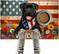 Patriotic 4th of July Flag Dog Pet Food Mat Independence Day Spill-Proof Pet Feeding Mat USA Welcome Dog Bowl Mats Pets Placemat Cat Food Mats for Home Decor 24" x 16"