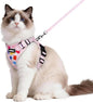 rabbitgoo Cat Harness and Leash for Walking, Escape Proof Soft Adjustable Vest Harnesses for Cats, Easy Control Breathable Reflective Strips Jacket, Purrty Pink, M
