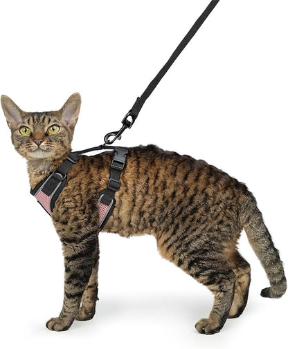 Voyager Escape-Proof Step-in Lock Cat Harness & 5ft Neoprene-Handle Leash Set All-Weather Mesh with Reflective Stitching for Small to Large Cats by Best Pet Supplies, Pink/Black Trim, S