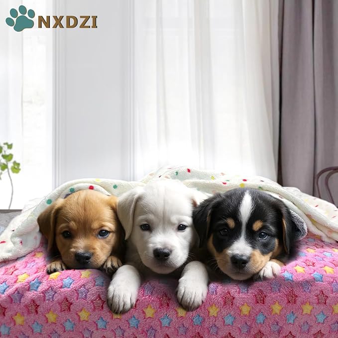 Dog Blankets for Small Medium Dogs Washable, 3 Pack Pet Blanket Washable 30" x 20", Fuzzy Soft Puppy Throw Cover for Kennel Crate Bed