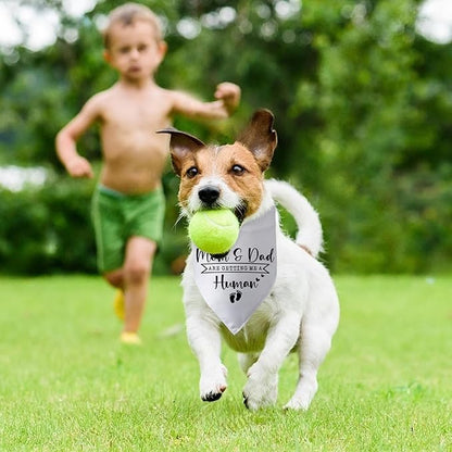 Mom & Dad are Getting Me a Human Dog Bandana Pregnancy Announcement for Parents Cool Gender Reveal Ideas Photo Props Pet Dog Scarf Accessories