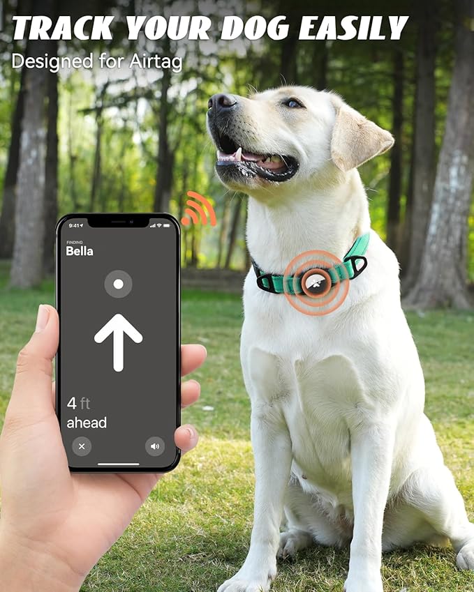 Joytale Airtag Dog Collar, Reflective Pet Collar with Waterproof AirTag Holder, Dual D-Rings, Soft Padded Adjustable for Large Dogs, Teal, L