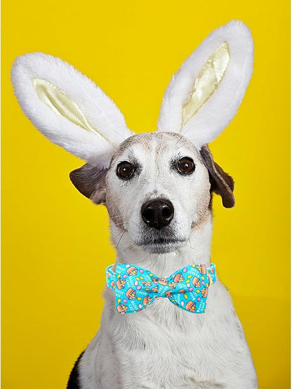 Lionheart Glory Easter Day Dog Collar with Bowtie for Large Dogs