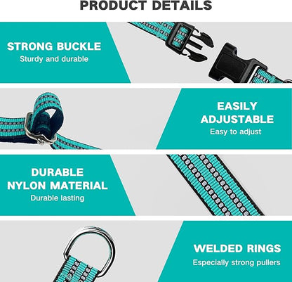 Hikiko Martingale Dog Collars Reflective Nylon Dog Collar with Quick Release Buckle Adjustable Training No Slip Dog Collar (Large, Turquoise)