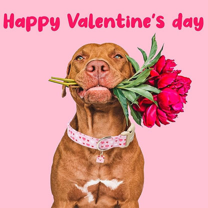Faygarsle Valentine's Day Dog Collar, Pink with Red and White Hearts Pattern, Adjustable with Quick-Release Buckle and Heart Charm S