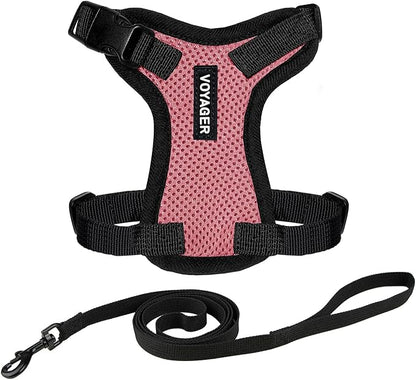 Voyager Escape-Proof Step-in Lock Cat Harness & 5ft Neoprene-Handle Leash Set All-Weather Mesh with Reflective Stitching for Small to Large Cats by Best Pet Supplies, Pink/Black Trim, XXXS