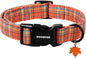 DOGWONG Fall Maple Dog Collar- Cute Classic Fall Autumn Flower Dog Collars Adjustable Fall Dog Collar for Small Medium Large Dogs L