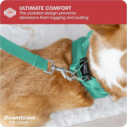Downtown Pet Supply Step in Dog Harness for Small Dogs No Pull, X-Small, Bermuda Blue - Adjustable Harness with Padded Mesh Fabric and Reflective Trim - Buckle Strap Harness for Dogs