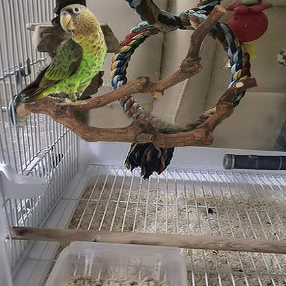 PINVNBY Natural Parrot Perch Bird Stand Pole Wild Grape Stick Paw Grinding Fork Parakeet Climbing Standing Branches Toy Chewable Cage Accessories for Small Lovebirds Budgies Cockatiels 2PCS