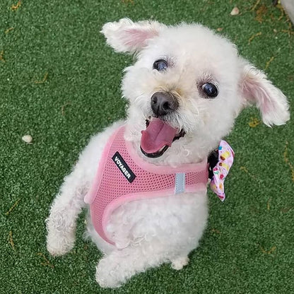 Best Pet Supplies Voyager Step-in Air All Weather Mesh Harness and Reflective Dog 5 ft Leash Combo with Neoprene Handle, for Small, Medium and Large Breed Puppies - Harness Leash Set (Pink), XS