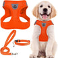 PUPTECK Adjustable Dog Harness Collar and Leash Set Step in No Pull Pet Harness for Small Medium Dogs Puppy and Cats Outdoor Walking Running, Soft Mesh Padded Reflective Vest Harnesses