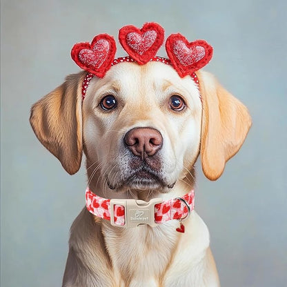 Valentines Dog Collar for Small Dogs - Cute Pink Girl Dog Collar, Doodle Heart Pattern, Adjustable Valentine Dog Collars with Red Heart Charm S