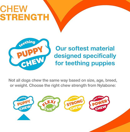 Nylabone Dental Dinosaur Puppy Power Chew Toy, Soothing Puppy Teething Bone, Enrichment Toy for Puppies, Chicken Flavor, Small Dogs - Up to 25 lbs., 1 Count