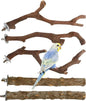 5 PCS Wood Bird Perches, Natural Grape Wood Branches with Mounts, Bird Stand and Paw Grinding Accessories, Cage Perches for Parakeet, Cockatiel, Conure, Budgie
