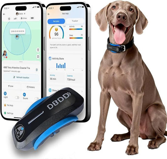 AI GPS Tracker for Dogs (40lbs+), Real Time Location and AI Vet Health Management, Electronic Fence, Waterproof, iOS and Android Universal（Black）