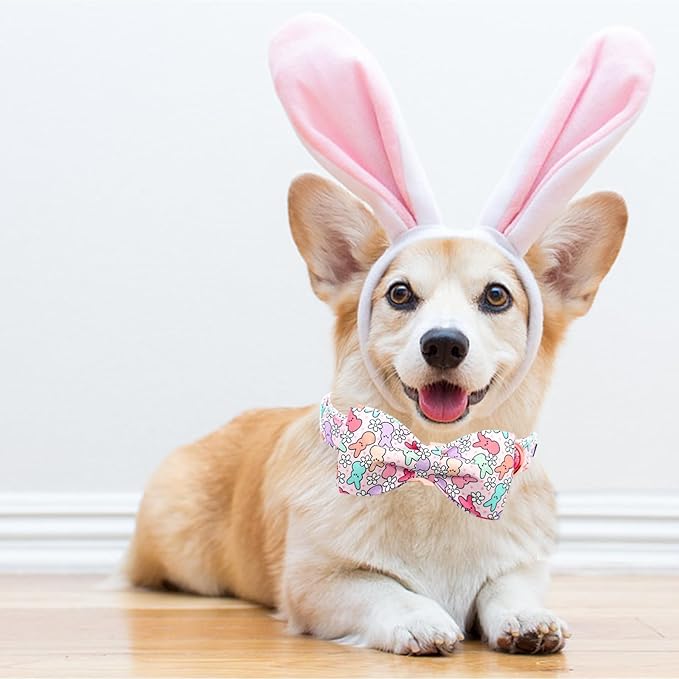 Lionheart Glory Easter Day Dog Collar with Bowtie for Large Dogs
