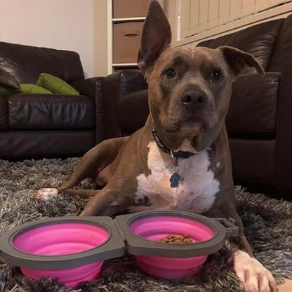Loving Pets - Bella Roma Double Diner Portable Travel Dog Bowls Collapsible Combined Dog Food & Water Bowls (Pink, Medium)