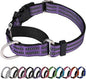 Martingale Dog Collar, Adjustable Nylon Reflective Collar with Quick Release Buckle (Purple, Extra Large)