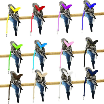 Dnoifne Parrot Harness and Leash, Adjustable Training Design Anti-Bite, Nylon Rope with Cute Wing for Parrots, Suitable for Alexandrine, Scarlet, Keck, Mini Macaw & Same Size Bird (Blue)