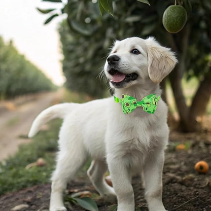 EXPAWLORER Cute Cat Collar Breakaway with Bells - 2 Pack Fruit Adjustable Pet Collar with Removable Bow Tie and Bandana, Safety Buckle for Girl Boy Cats Kitten, Avocado
