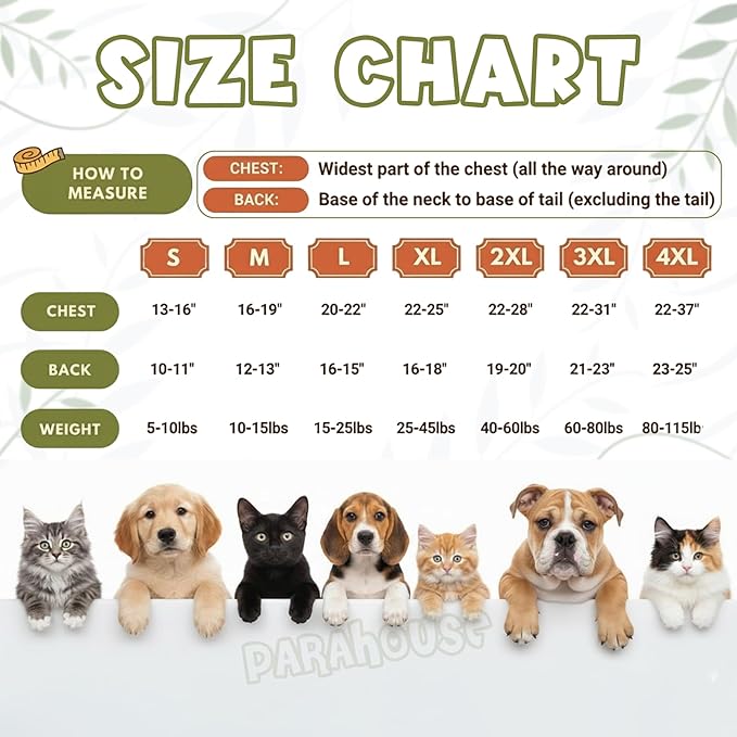 Personalized Dog Hoodie, Custom Embroidered Name Pet Hoodie, Warm Winter Outfit for Dogs, Pet Clothes, Gift for Dog Lovers 4